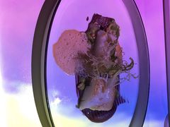 -翡翠36餐厅(浦东香格里拉店)