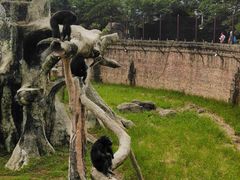 -南昌动物园