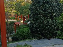 -森波拉火山温泉