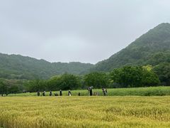 -八卦田遗址公园