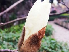 -乌山风景区