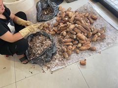 -潮汕裕成莲藕(泰沙路店)