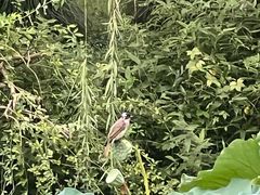 -上海玛雅海滩水公园