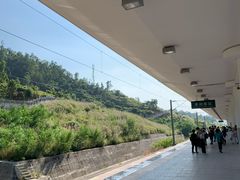 -惠阳站