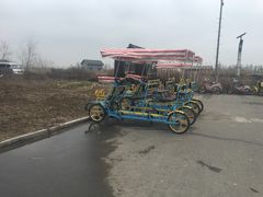-盐城丹顶鹤湿地生态旅游区