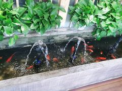 -昱匠·日本料理(金融街店)