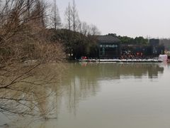 -上海滨江森林公园
