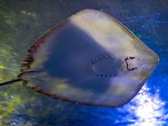 -波塞冬海底世界