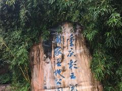 -重庆彩云湖湿地公园