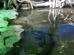 -沙沙哗啦海洋馆(华宇百花谷店)