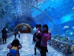 -华夏文旅海洋公园