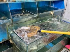 -晓琦农家菜馆·地道农家菜