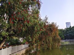 -人民公园(罗湖区)