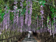 -湖南湘都生态农业园