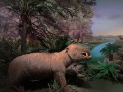 -湖南省地质博物馆