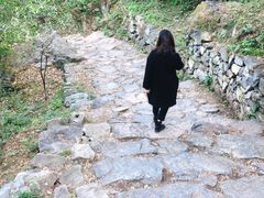 -阳台山自然风景区