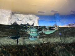 -成都浩海立方海洋公园