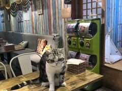 -小时光咖啡馆(开森度假森林店)