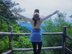 -王顺山国家森林公园