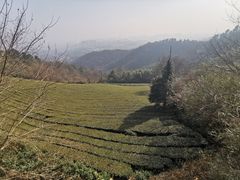 -敬亭山风景名胜区