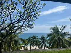 -日落吧·海景咖啡厅·餐酒吧·鸡尾酒·下午茶·乐队表演·浪漫夕阳·三亚文华东方酒店