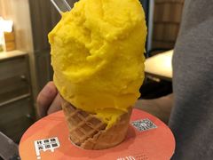 -野人先生现做冰淇淋(北京顺义祥云小镇店)