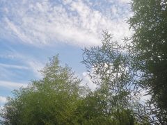 -嘉北郊野公园