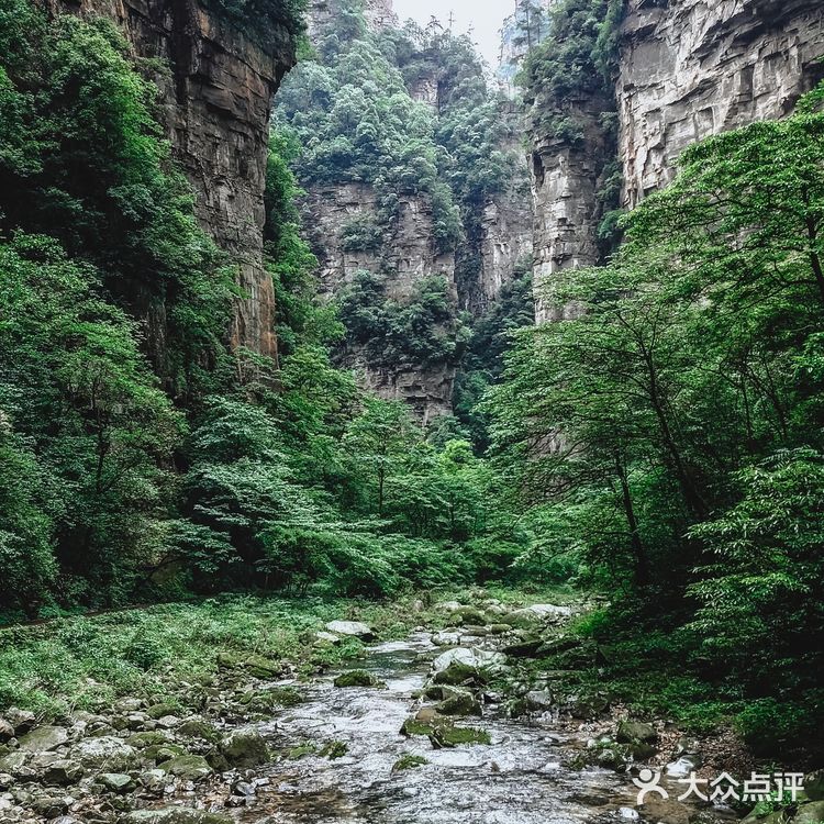张家界国家森林公园·零基础上手轻松玩转😁