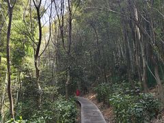 -上海佘山国家森林公园西佘山园