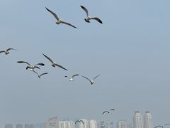 -黑石礁公园