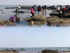 -刘家湾赶海园