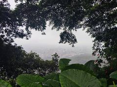 -广州市白云山风景名胜区