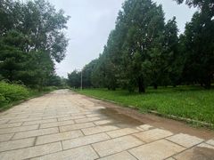 -青龙湖公园