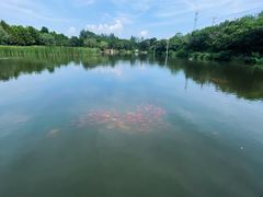 -前关湿地公园