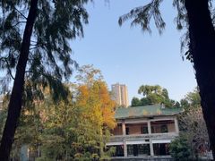 -荔湾湖公园