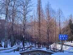 -白水寺森林公园