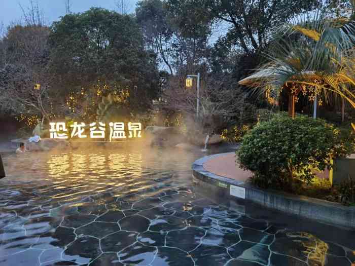 世界恐龙谷温泉酒店图片