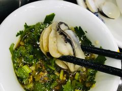 -蚝专家