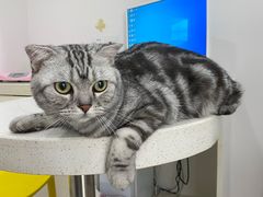 -佳雯宠物医院·皮肤科·内外科(春晓路分院)