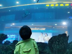 -乐从天佑城海洋馆