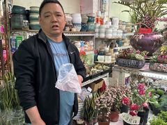 -花鸟鱼虫鲜花绿植市场(玉泉路店)