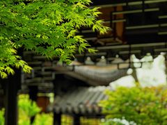 -台州府城(东湖)
