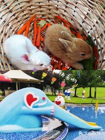 夏日炎炎宝妈宝爸们赶快抓着这个阳光明媚的季节出去玩耍