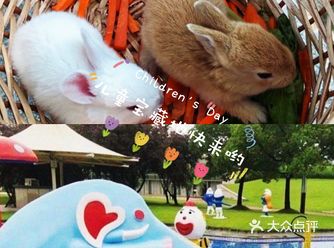 夏日炎炎宝妈宝爸们赶快抓着这个阳光明媚的季节出去玩耍