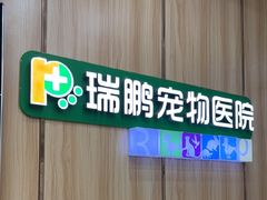 -瑞鹏宠物医院·夜间急症·心超·猫科(祖庙分店)