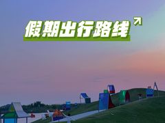 -荷兰花海