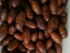 -宾朋海鲜特色美食餐厅·纯手工鲅鱼水饺(兴海路店)