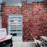 宁波新店｜园区里的潮咖 拍照也太出片了