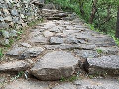 -北京鹫峰国家森林公园