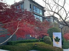 -长广溪湿地公园